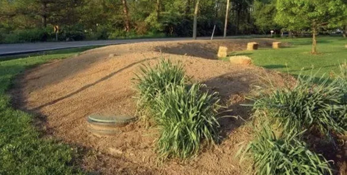 Grassy rain garden with plants, mulch, and a covered drain, next to a road.