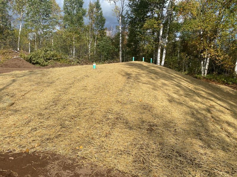 Earthen mound covered with straw, with small green pipes in it, surrounded by trees under a cloudy sky.