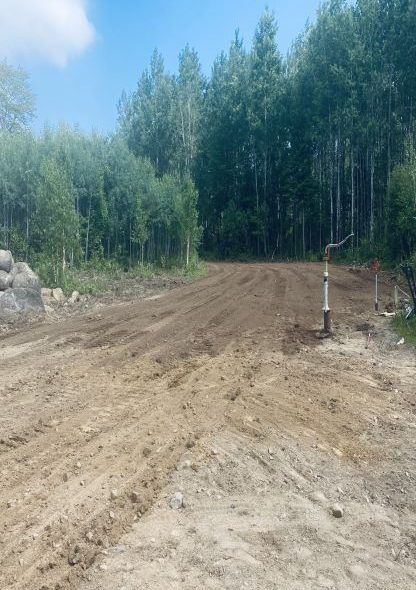 Dirt road leading into a forest; sky is blue.
