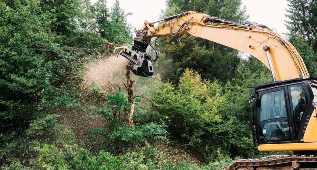 Yellow excavator mulching a tree in a forest, wood chips spraying.