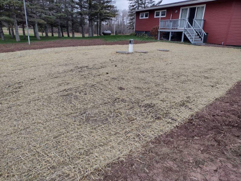 Brown straw covering a yard, near a red house with white stairs.