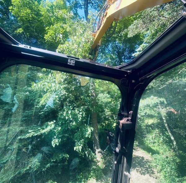 View from inside a heavy machinery cab as the arm reaches up to clear trees in a forest setting.