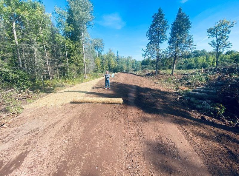 A person rolling out a straw erosion mat on a dirt road in a forest on a sunny day.