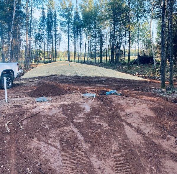 Dirt construction site in a forest. A leveled area with grass seed is in the background.