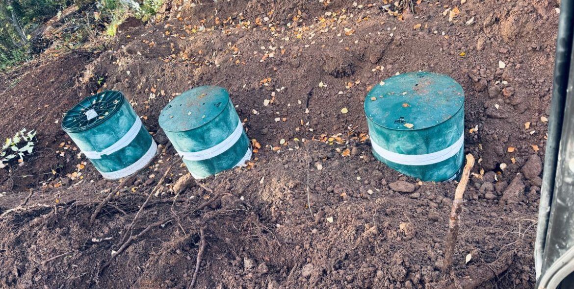 Three teal cylindrical posts with white bands embedded in brown dirt.