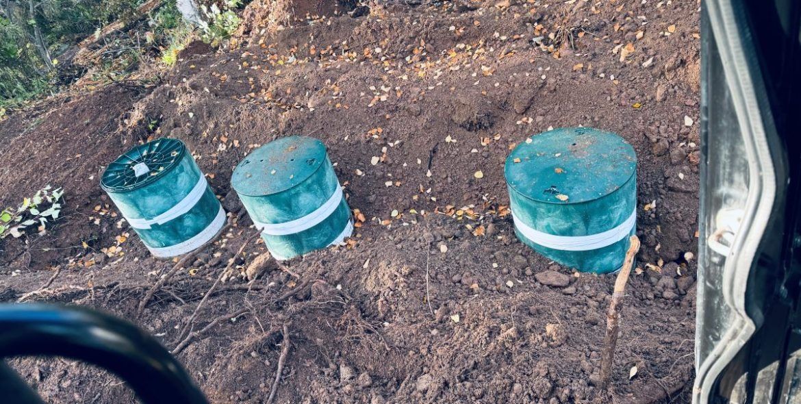 Three green posts with white bands are in a brown patch of dirt, likely for a fence.