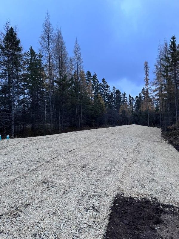 A gravel road cuts through a forest under a cloudy sky.
