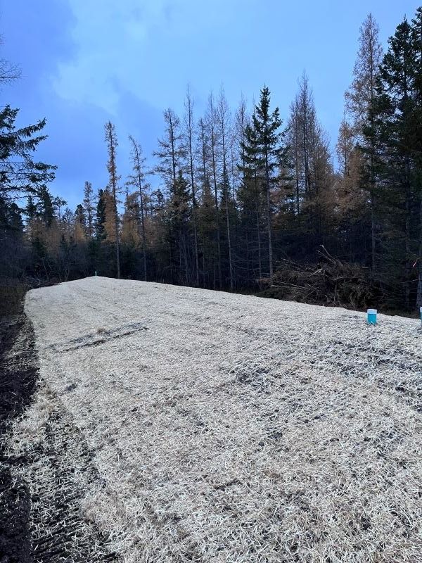 Gravel-covered cleared land in a wooded area, possibly for construction, with trees in the background under a blue sky.