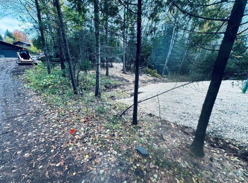 Gravel driveway, dirt road, trees. Construction equipment on the left. Overcast day.