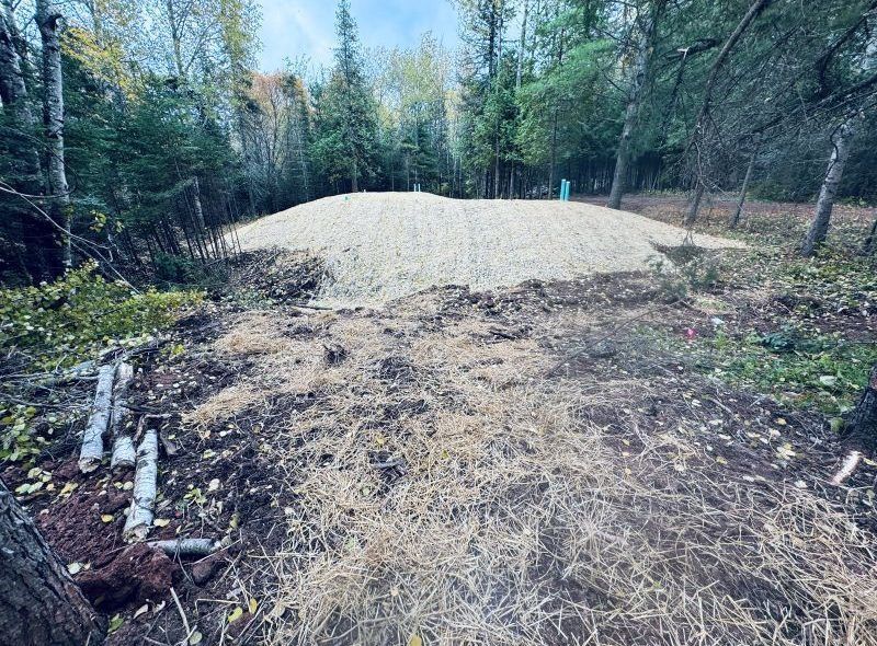 A large pile of gravel in a clearing surrounded by trees and vegetation.