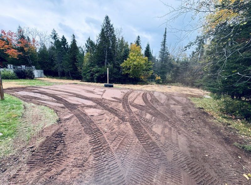 Dirt road with vehicle tire tracks leading to trees and a cloudy sky.