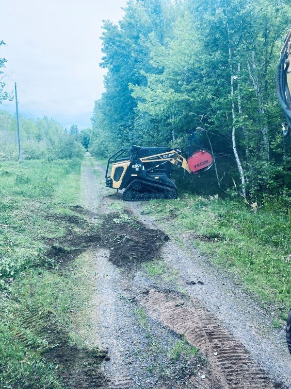 Small yellow forestry machine clearing a wooded roadside.