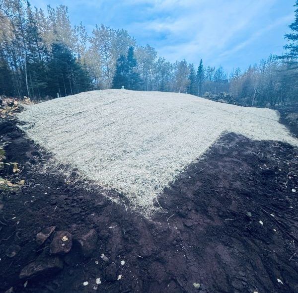 A grassy slope, possibly a berm, covered in straw against a backdrop of trees and a blue sky.
