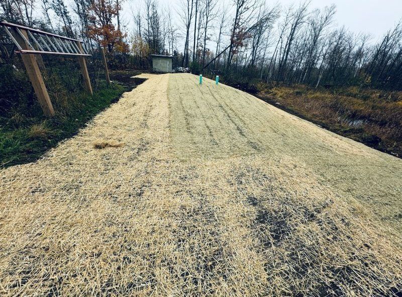 Newly seeded area covered in straw, alongside a grassy area, trees, and a small building.