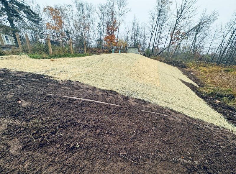 A graded earth slope covered in light-colored mulch, likely for erosion control, in a natural setting.