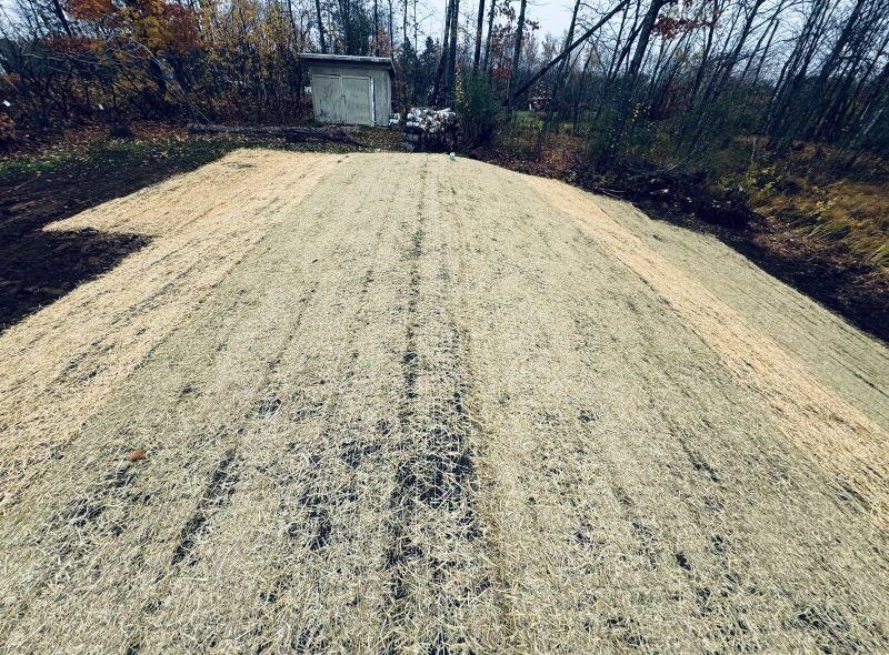 Slope covered in mulch, leading to a small building, in a wooded area.