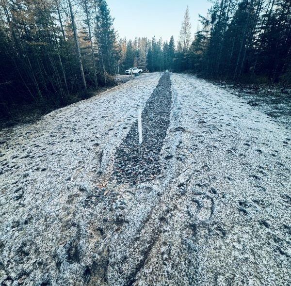Frosty forest road with tire tracks. Trees line both sides.