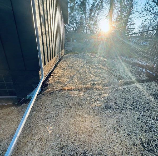 Sun shining on frosted grass next to a building with a metal rain gutter.