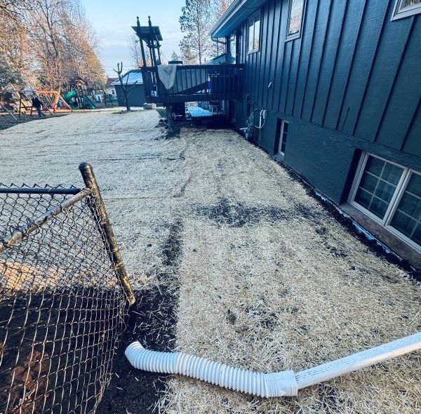 Backyard with mulch, downspout, and deck. House is blue-green, fence is chain link.