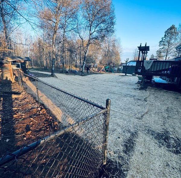 A chain-link fence borders a yard with a truck, trees, and a building under a blue sky.