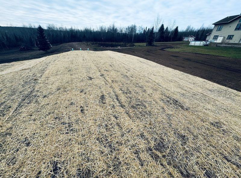 A large, straw-covered area on a slight slope, likely for erosion control, with trees and a house in the background.