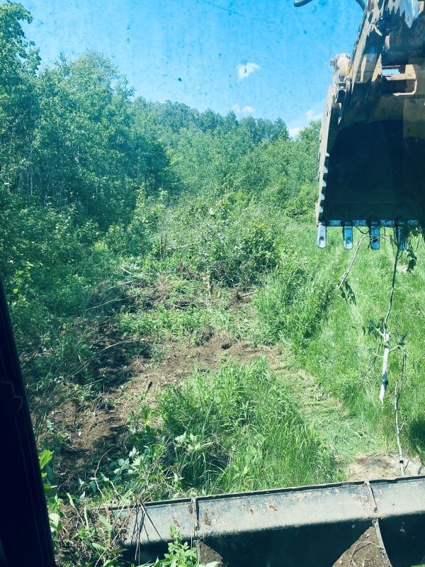 View from inside an excavator cab clearing brush. Green vegetation surrounds a dirt path under a blue sky.