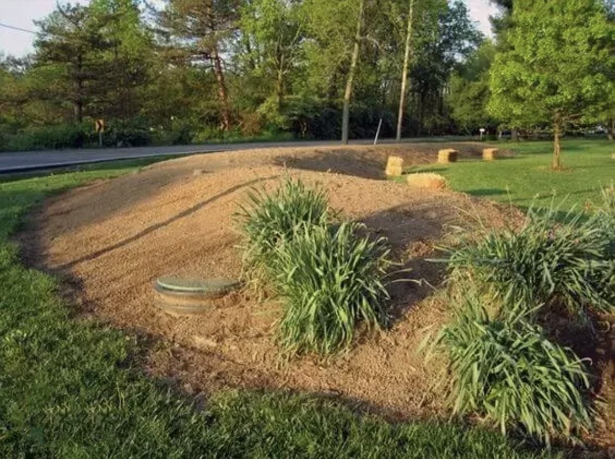 A brown mulch rain garden with green plants, grass, and a road in the background on a sunny day.