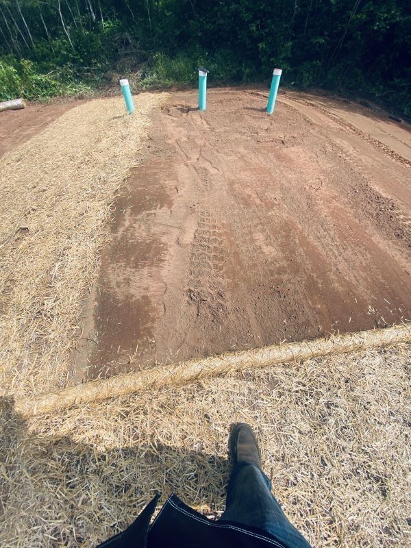 A person standing in front of a dirt area with three blue pipes, covered in straw.