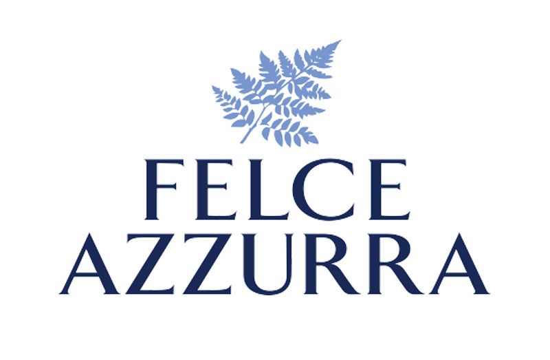 Logo Felce Azzurra con felce blu e testo blu navy su sfondo bianco.