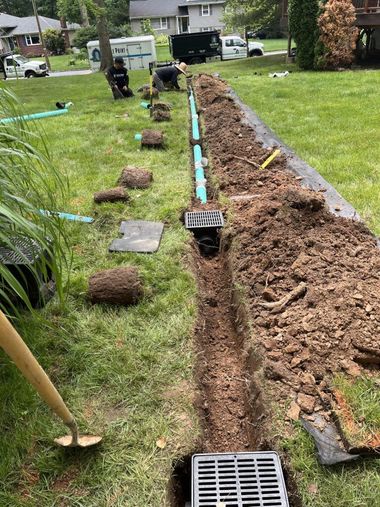 Workers install a blue drainage pipe and grate systems in a trench through a residential lawn.