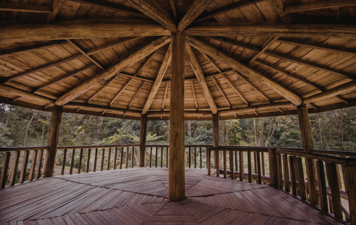 A wooden gazebo with a radiating roof structure and railings, overlooking a forest.