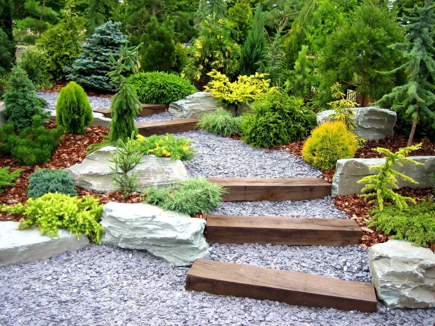 A gravel path with wooden steps winds through a landscaped garden featuring evergreen shrubs, small trees, and large rocks.