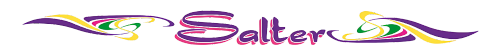 Salter Bus Lines logo