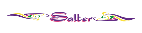 salter bus lines logo