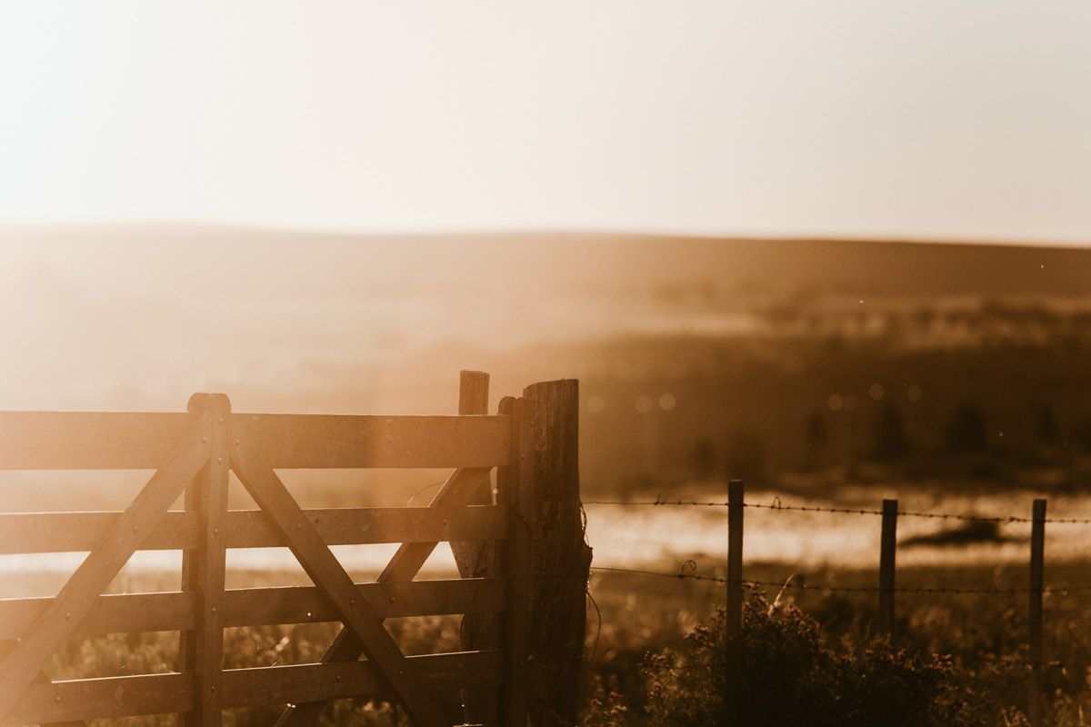 Sunset with a wooden fence — Shepherdsville, KY — Schmidt Fencing