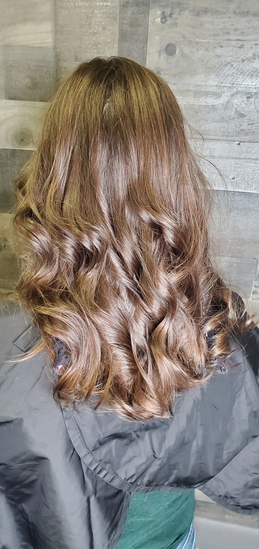 The back of a woman 's head with long brown hair.
