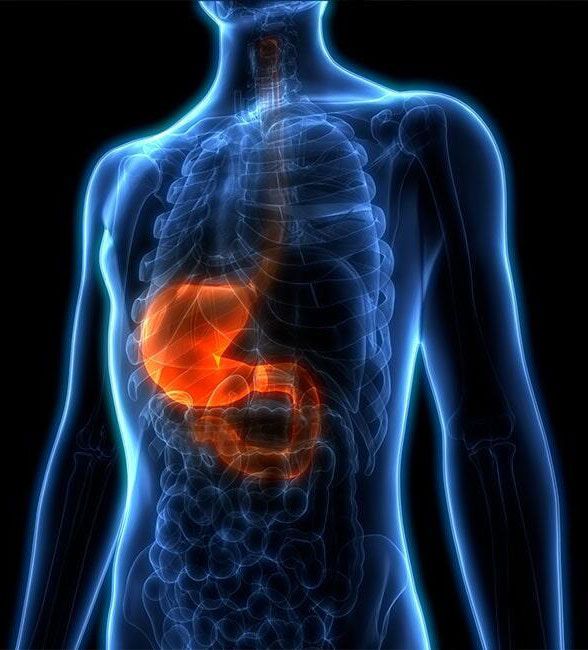 DR. JESÚS ALEJANDRO INZUNZA GONZÁLEZ