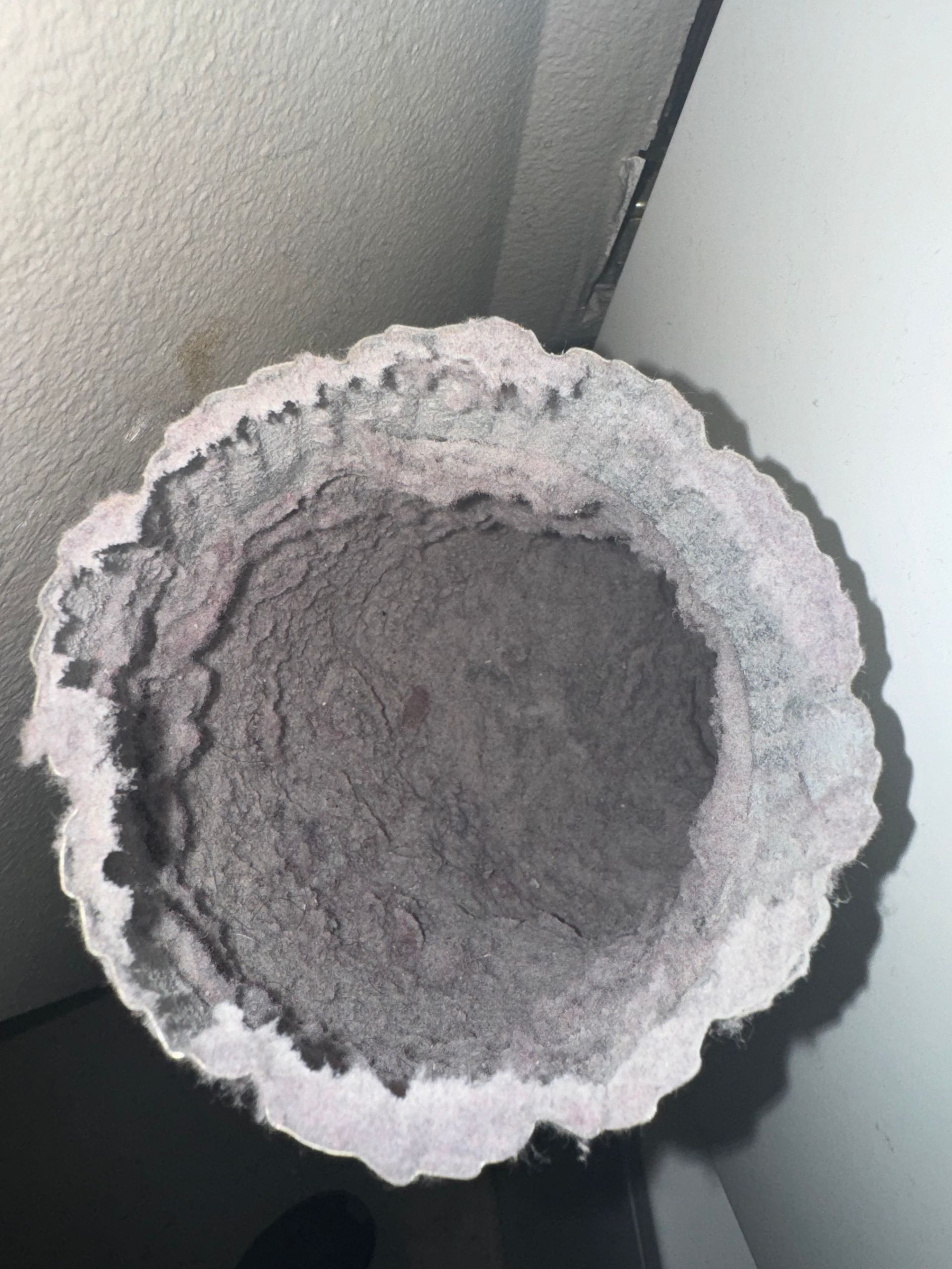 dryer vent completely coated with a thick layer of link