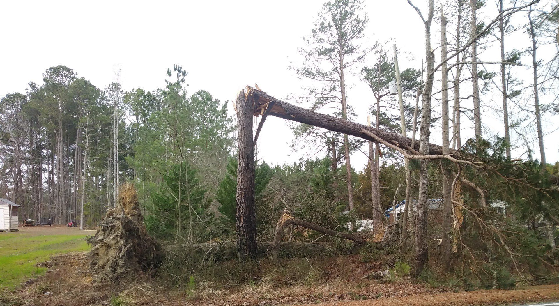 Land Clearing Wake Forest, NC Betts Excavation