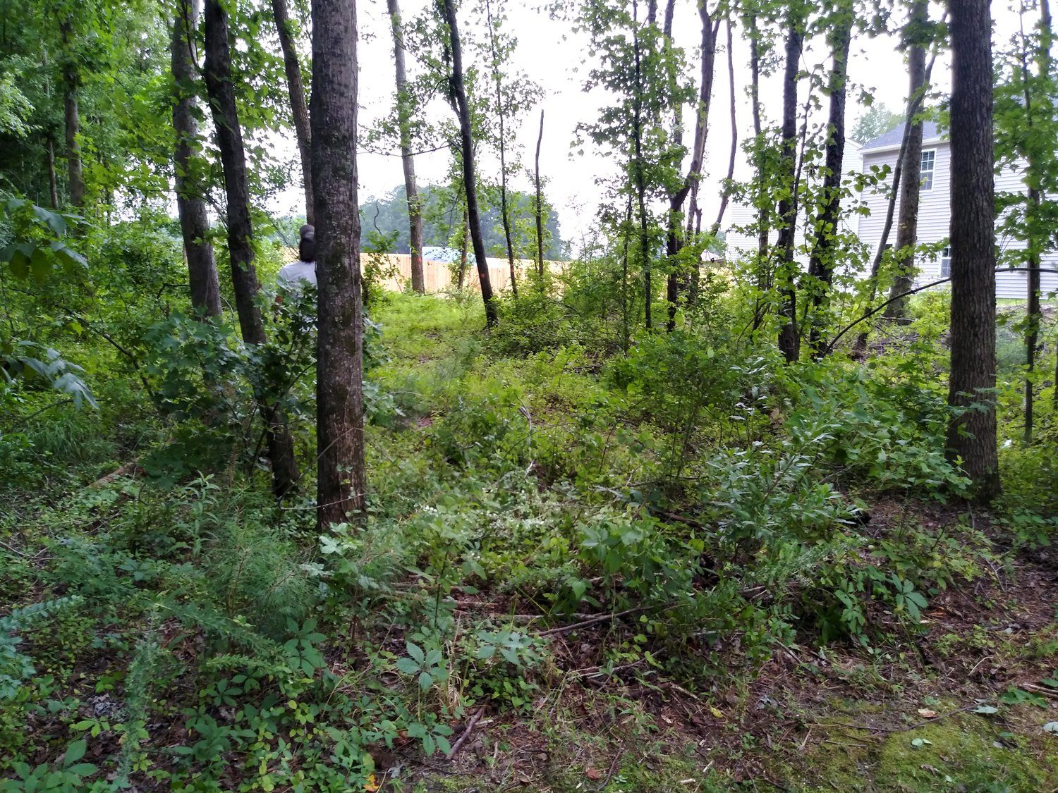 Land Clearing Wake Forest, NC Betts Excavation