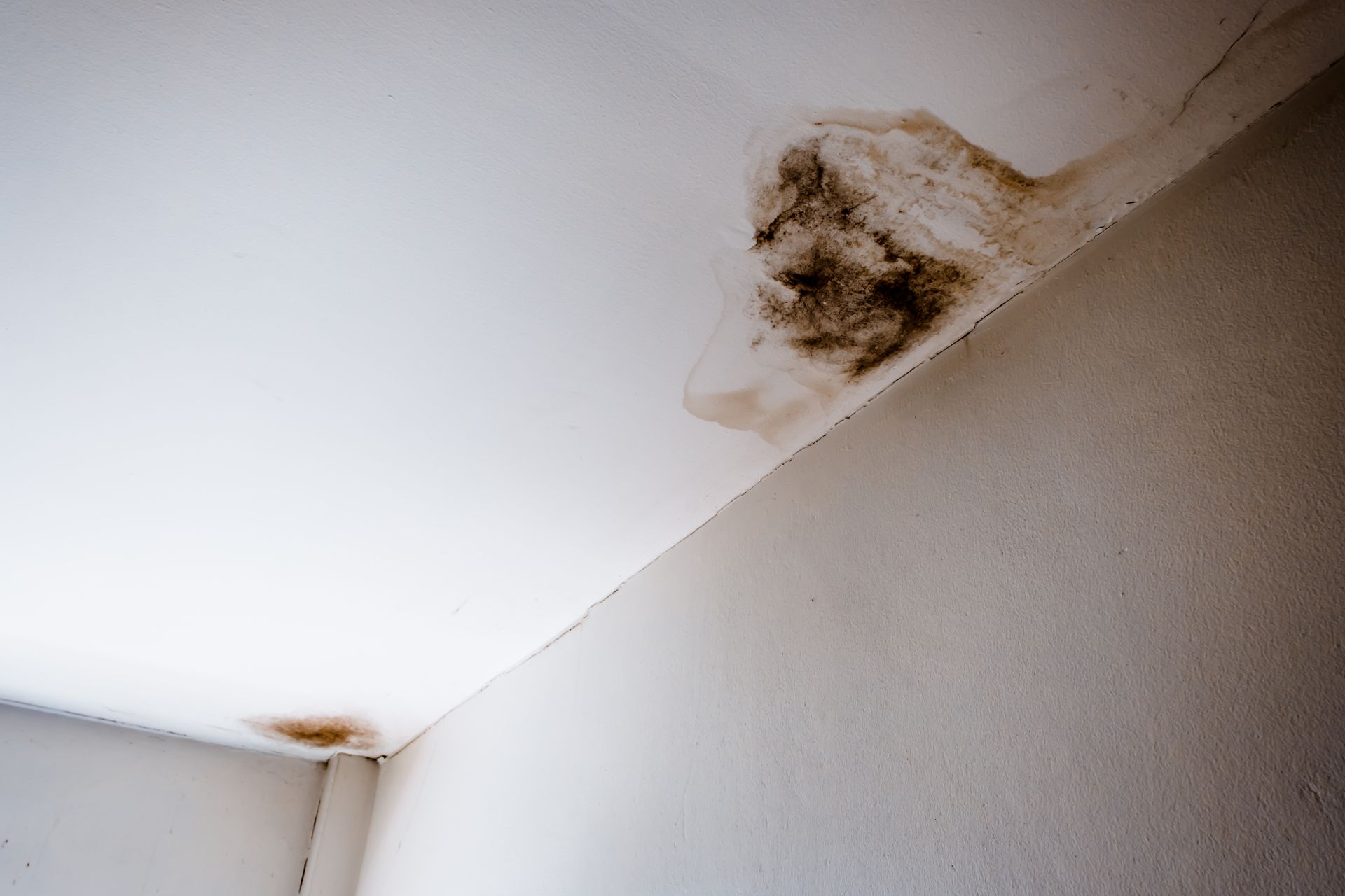 There is a stain on the ceiling of a room.