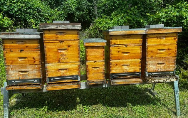 image of storage for the roaches