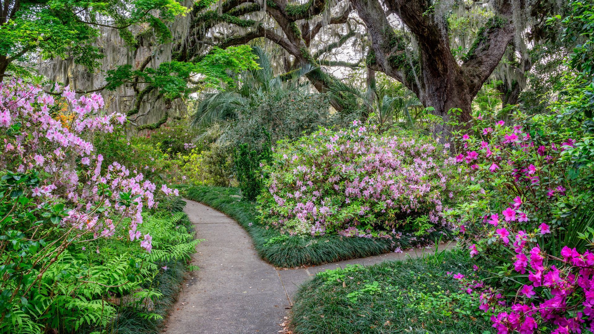 A path in a garden surrounded by trees and flowers.