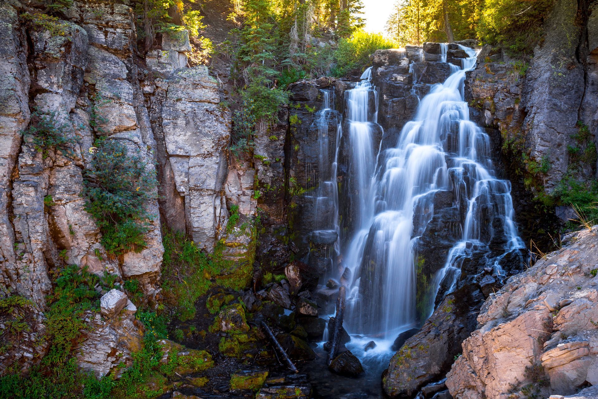 A waterfall is surrounded by rocks and trees in the middle of a forest.