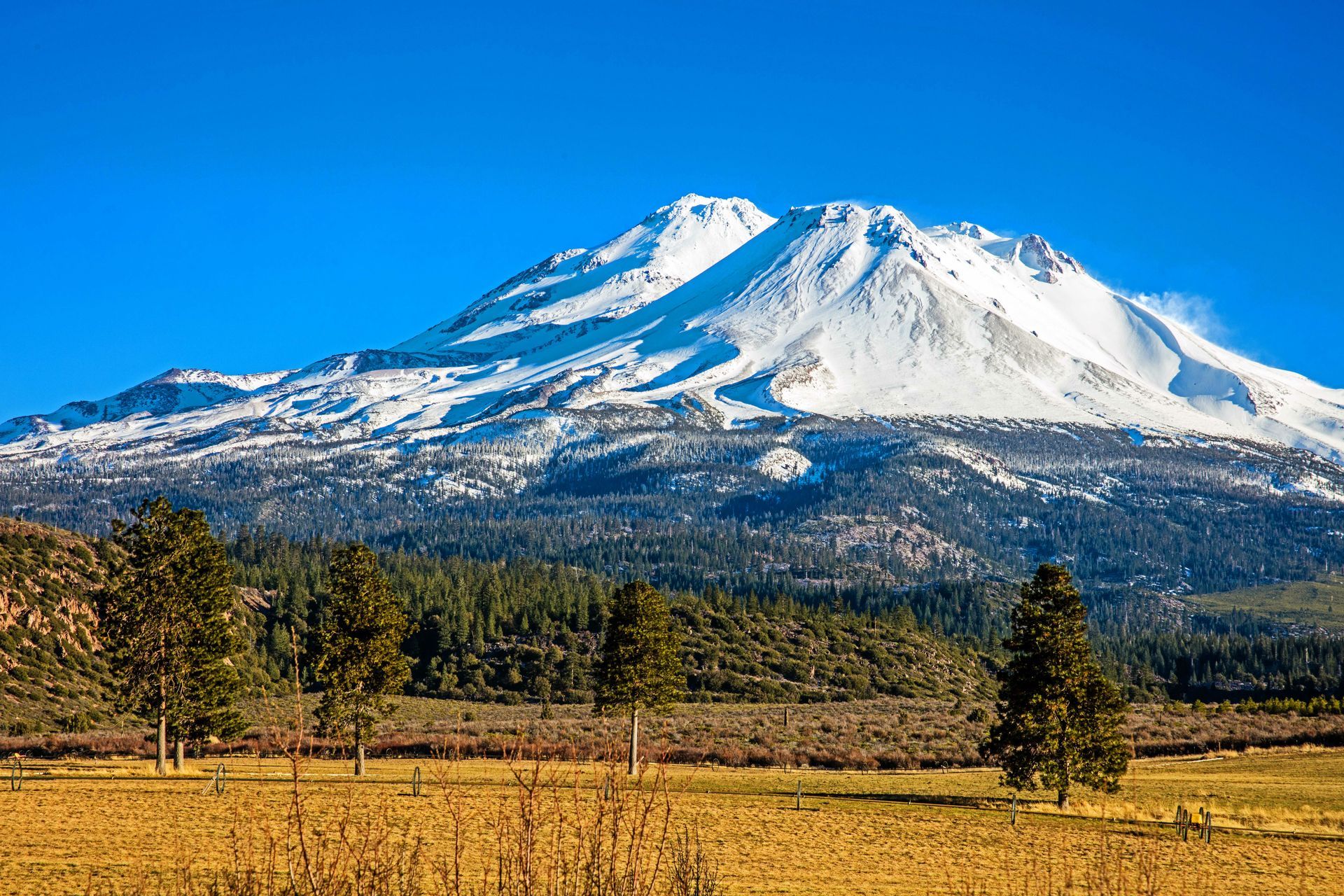 A mountain covered in snow is surrounded by trees and a field.