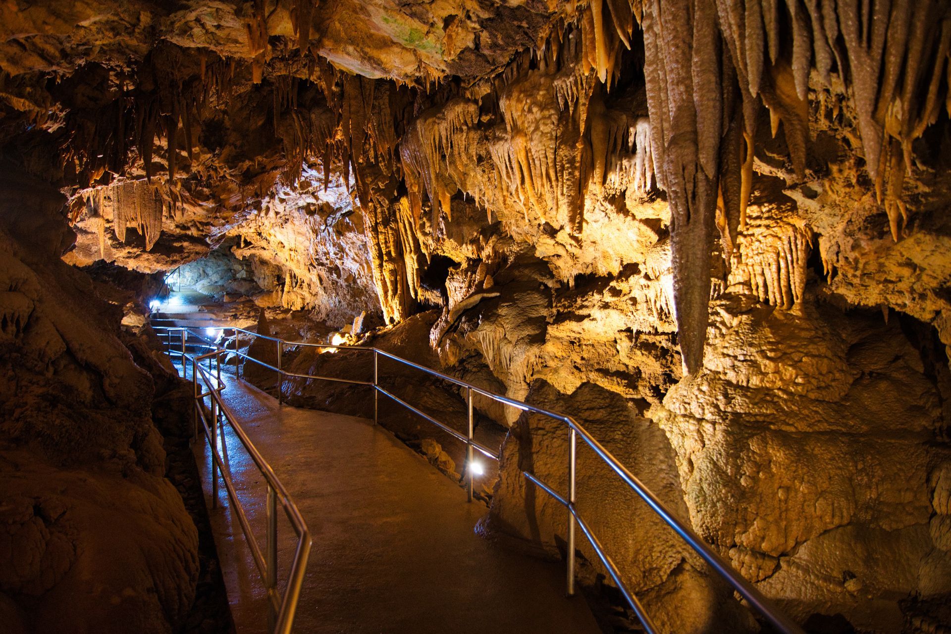 A walkway in a cave with a railing and a lot of stalagmites hanging from the ceiling.