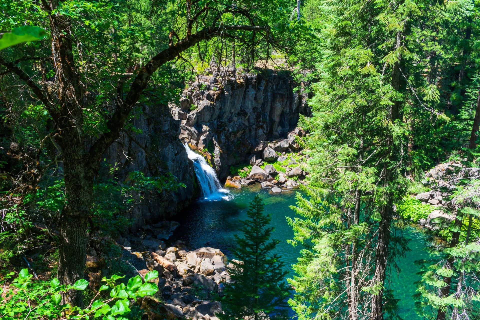 A waterfall in the middle of a forest surrounded by trees.