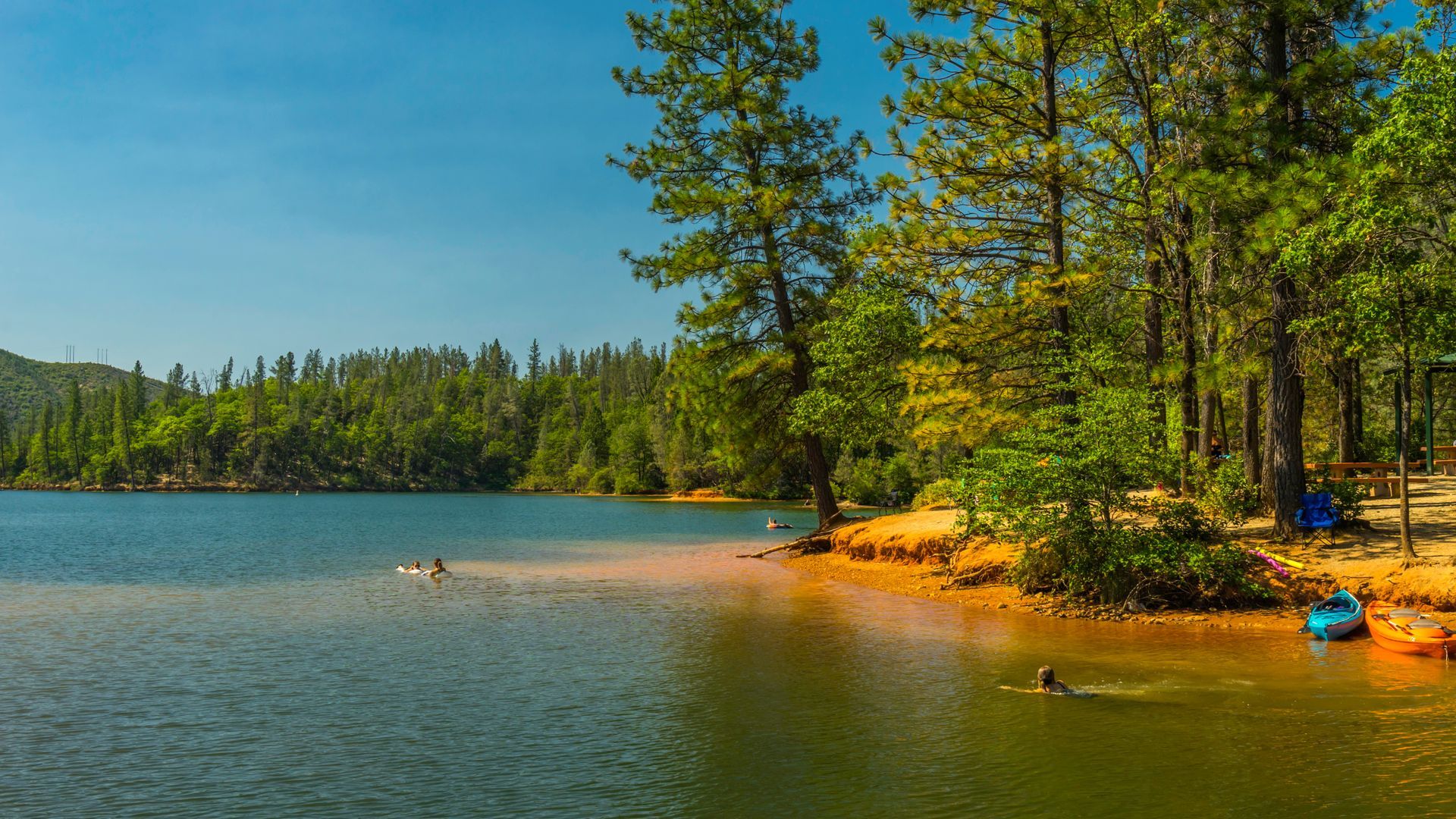 A person is swimming in a lake surrounded by trees on a sunny day.