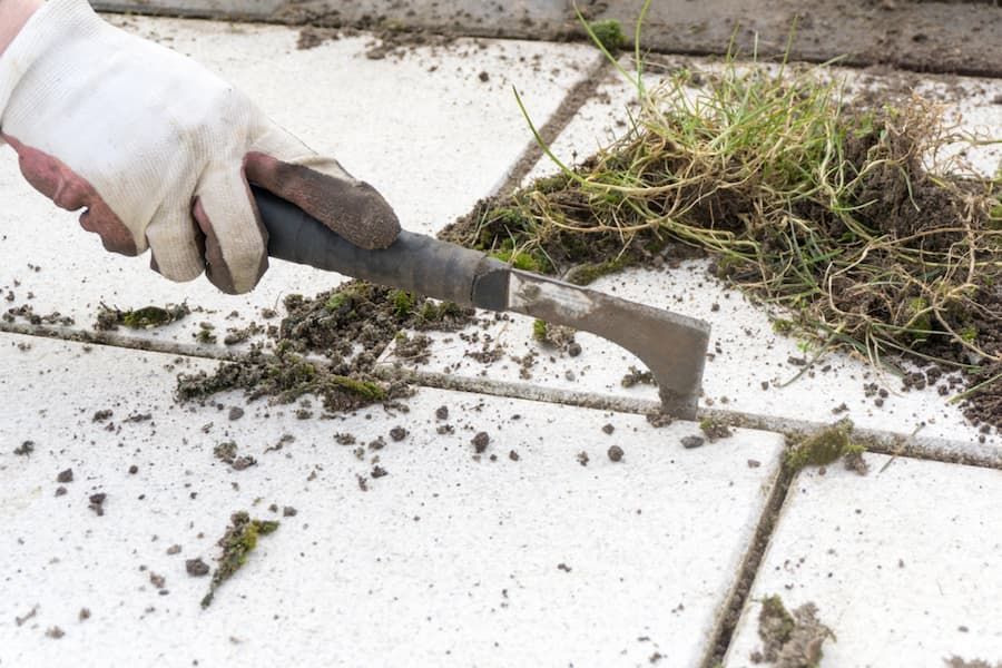 A Person Is Using A Shovel To Remove Grass From A Tiled Floor - Tree Services in Townsville, QLD
