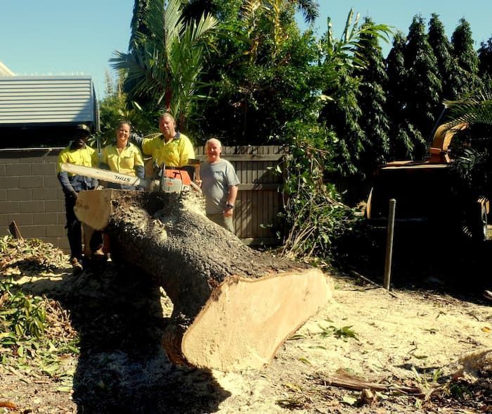 A Group Of People Standing Next To A Large Log - Tree Services in Townsville, QLD